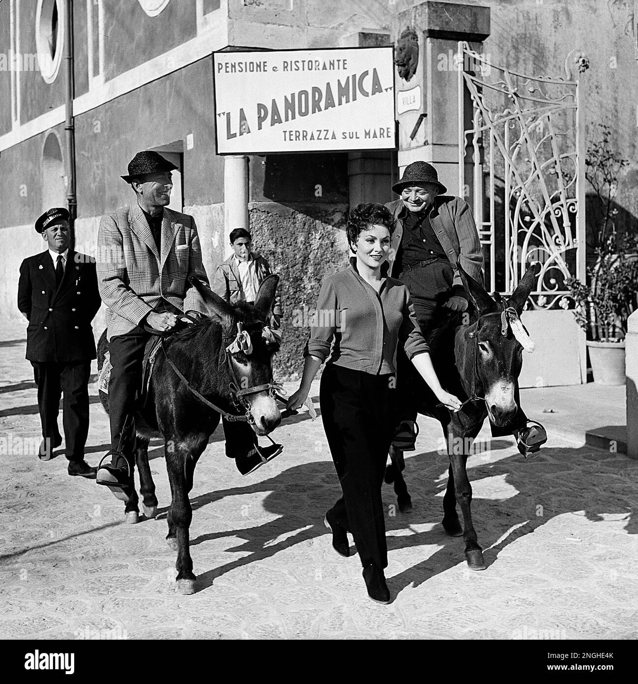 Donkey Ravello Italian film actress Gina Lollobrigida leads two donkeys carrying ...