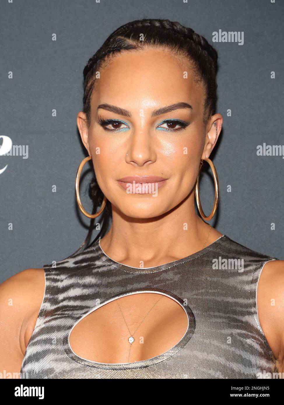 Los Angeles, USA. 17th Feb, 2023. Amanza Smith, at The premiere of A