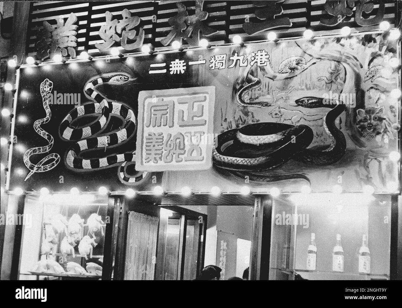 This Sign Over The Door Proclaims That The Shop Sells Snakes In Hong This Sign Over The Door Proclaims That The Shop Sells Snakes In Hong