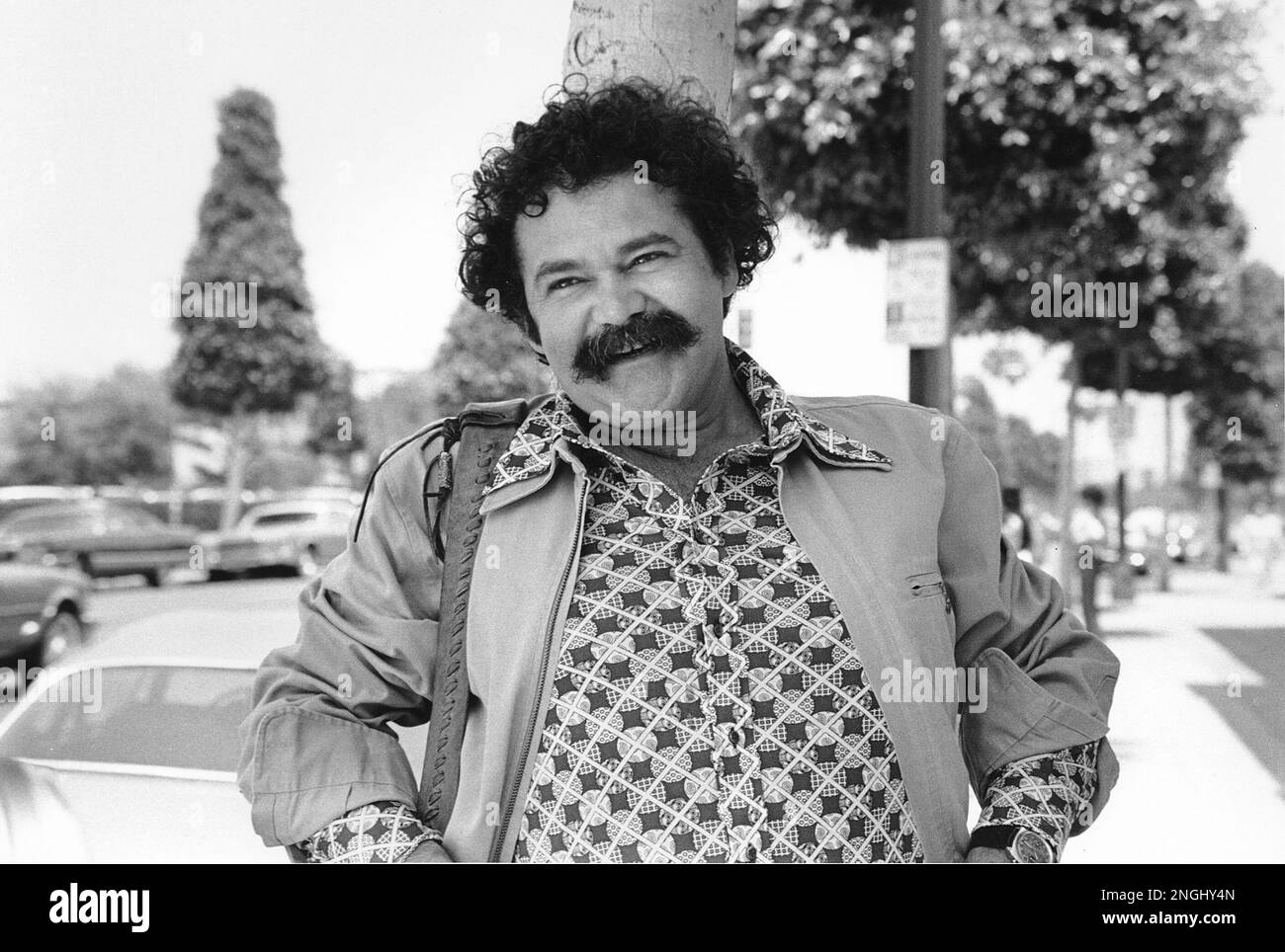 Actor and comedian Avery Schreiber poses in Beverly Hills, Ca., on June