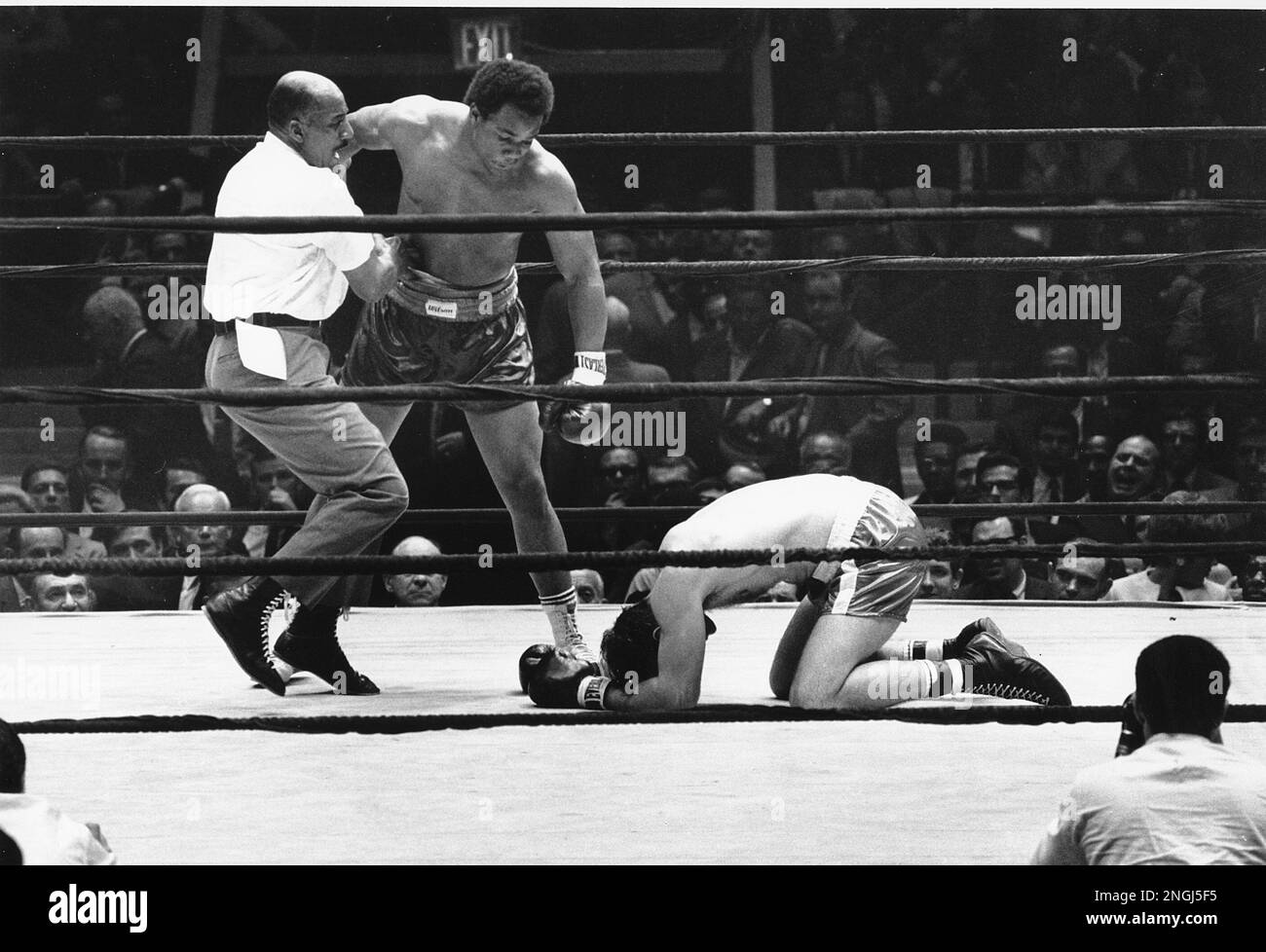 The referee pulls back Foreman after he knocks out Donald