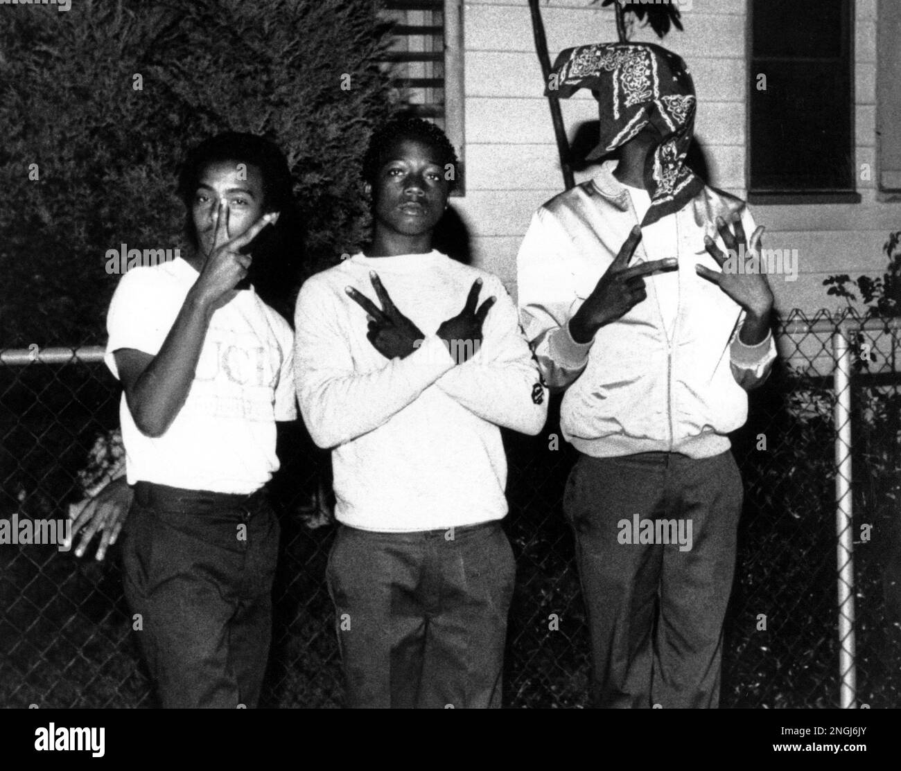 Los Angeles street gang, "Crips" members, display their signs for the