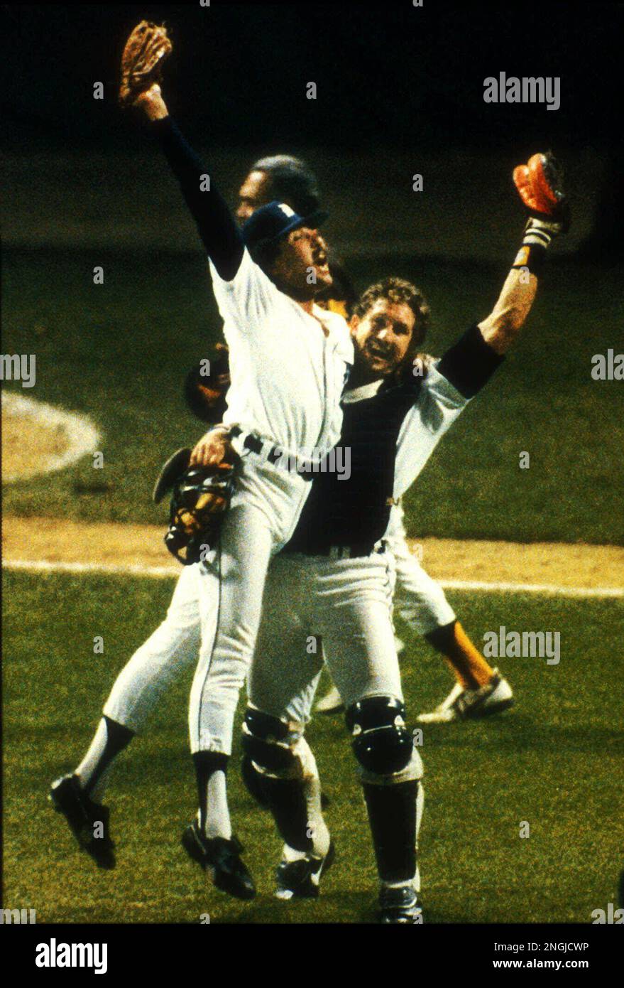 1984 World Series on DVD Detroit Tigers Vs San Diego Padres