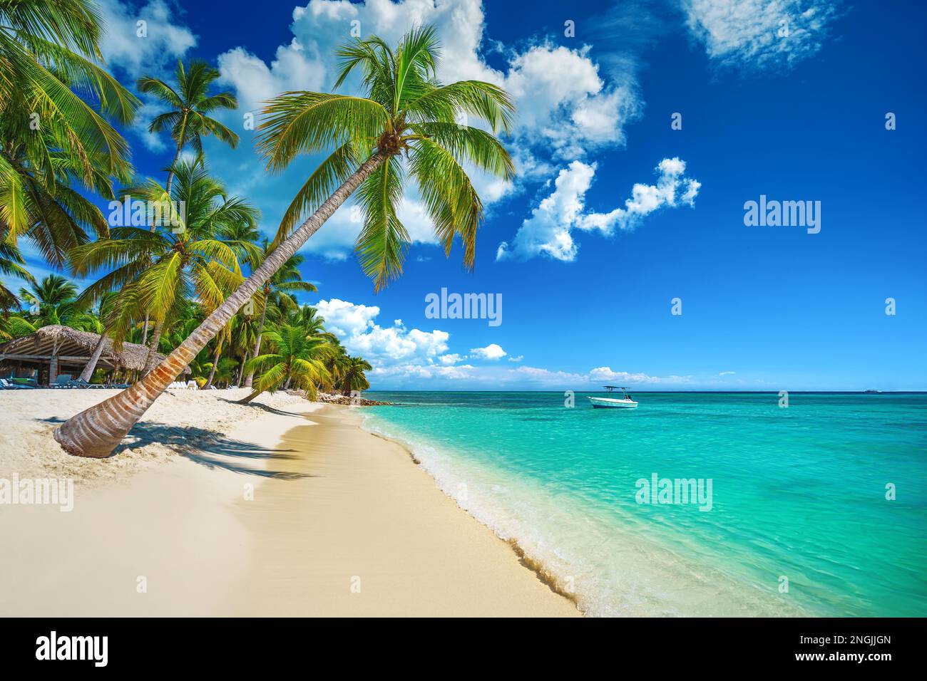 Tropical beach in Punta Cana, Dominican Republic Stock Photo - Alamy