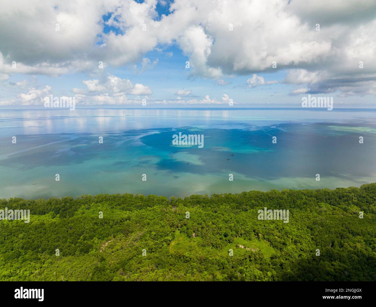 Tropical rainforest and jungle on the coast of the island. Balabac