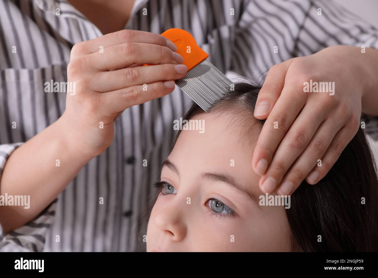 Mother using nit comb on her daughter's hair indoors. Anti lice