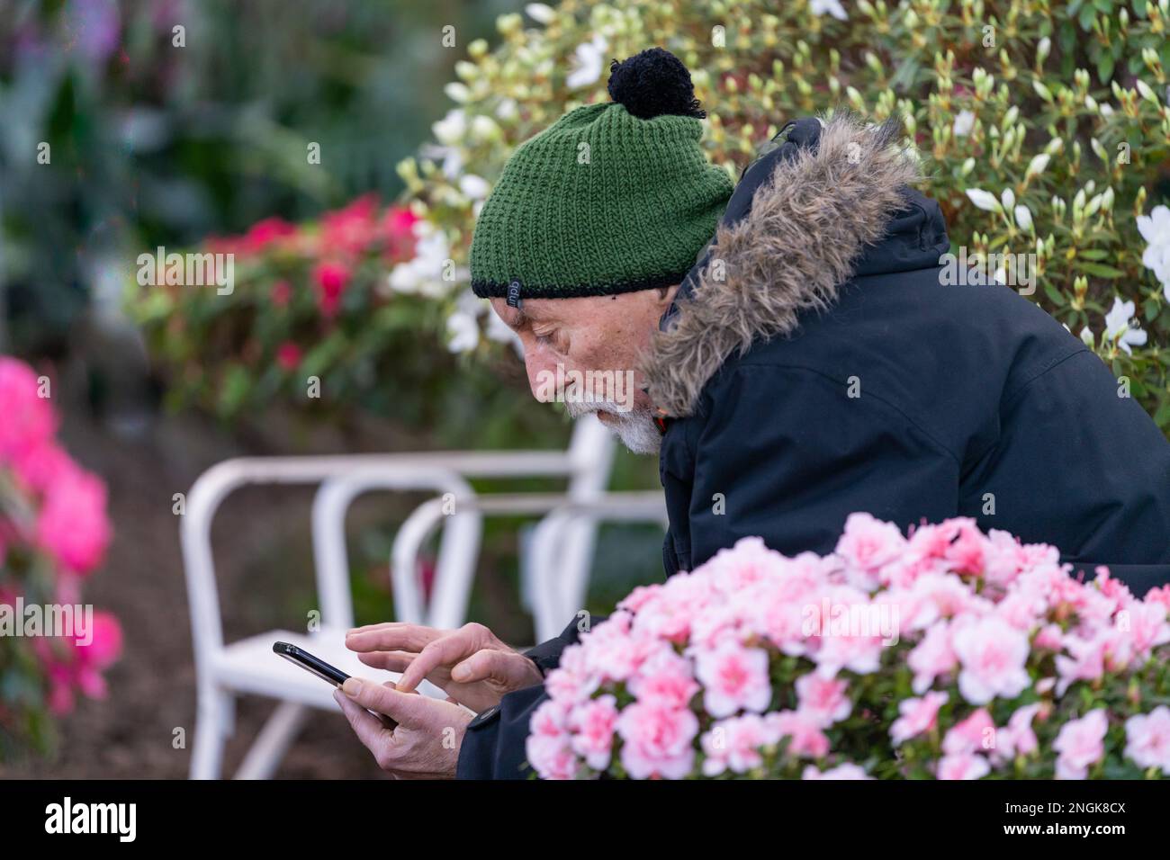 Active 60 year olds. Man visiting Palmenhaus Schönbrunn and sharing his experience on social media Stock Photo