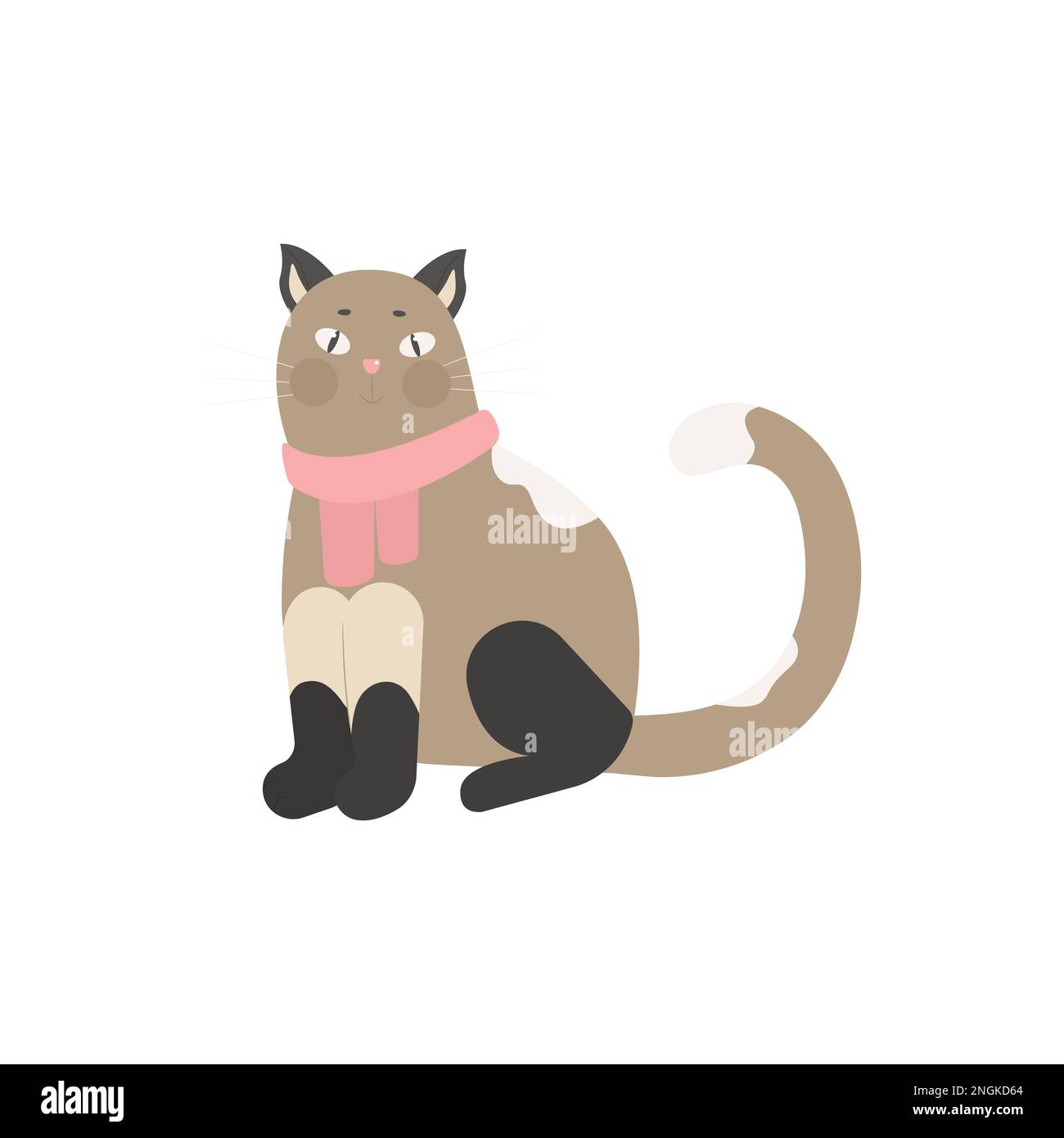 Funny cat in a scarf, pet vector illustration isolated. Siamese cat