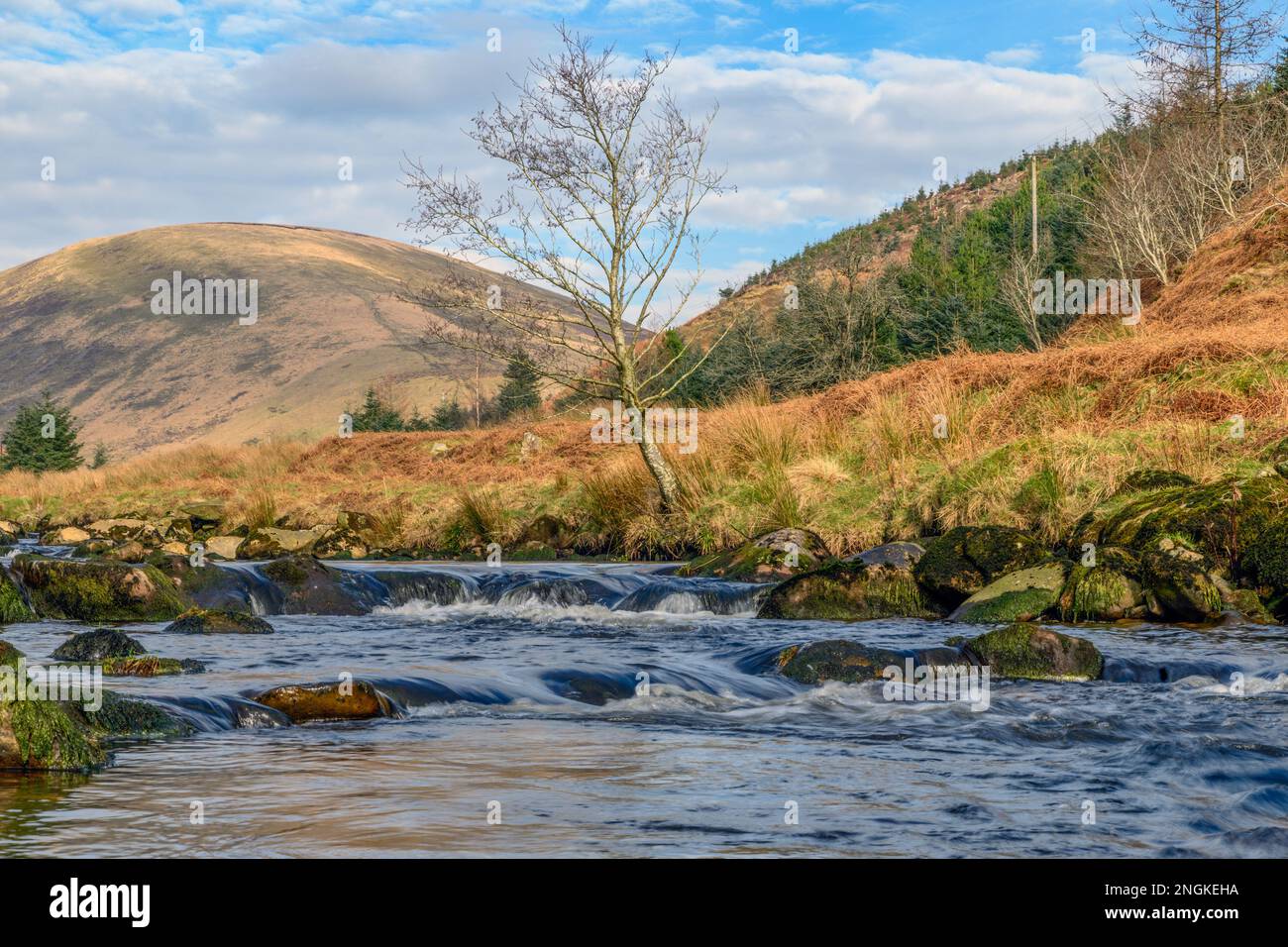 The Dunsop River, Dunsop Bridge, Forest of Bowland, Lancashire Stock