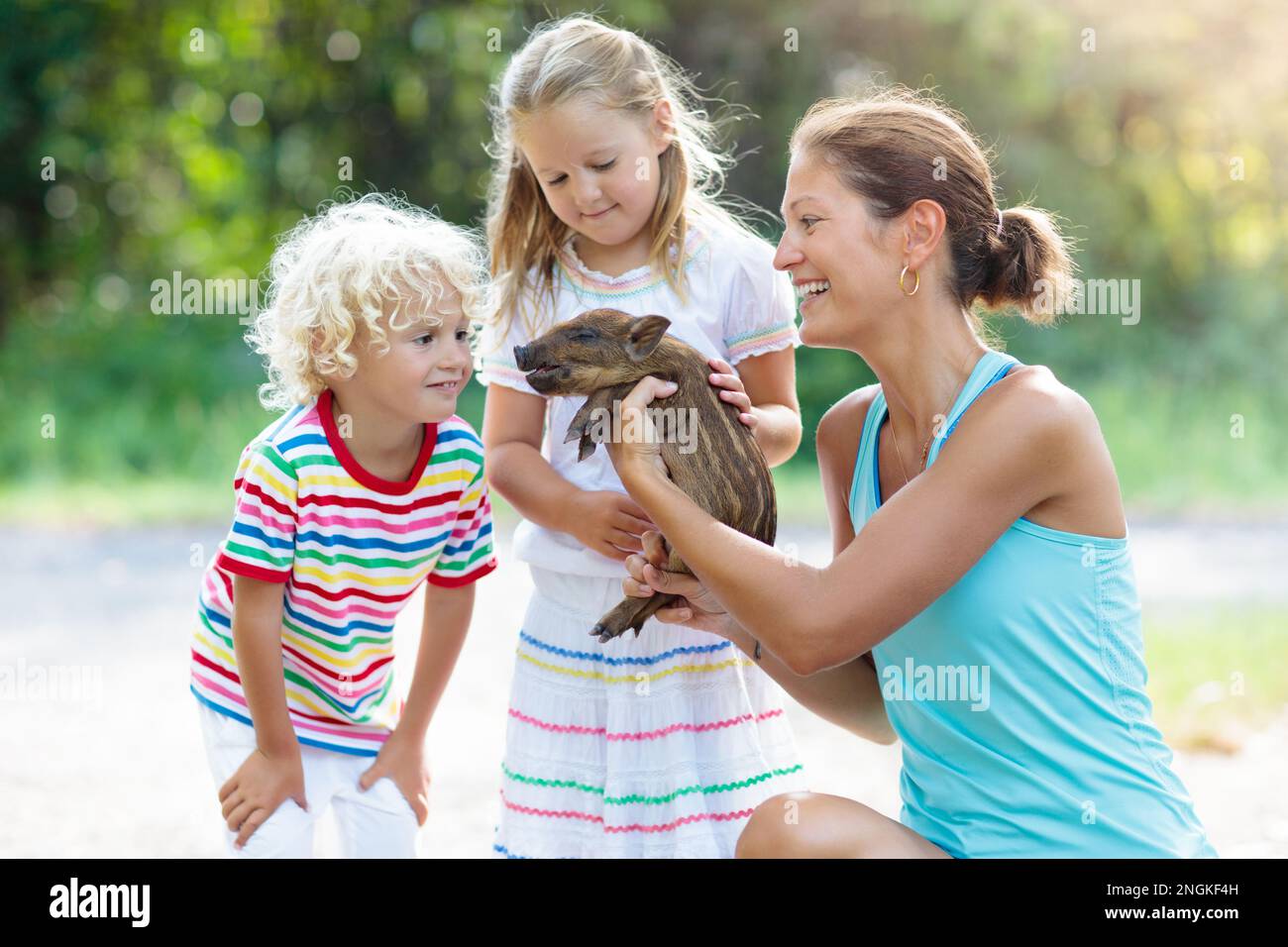 Kids play with farm animals. Child feeding domestic animal. Mother