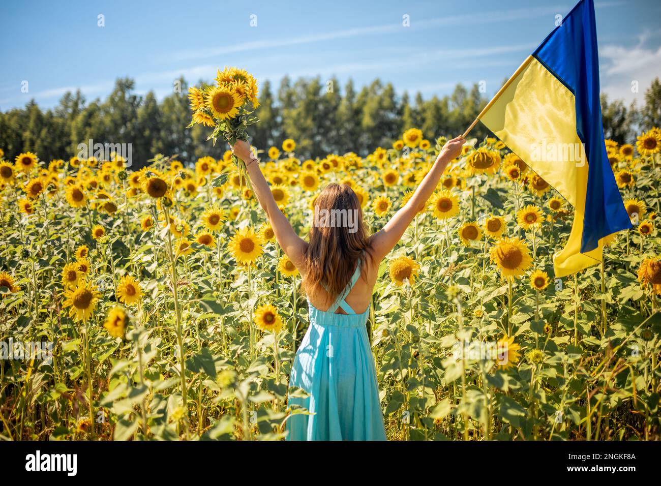 Strong beautiful Woman in Holding Ukraine Flag amongst Sunflowers, Standing for Peace stop war