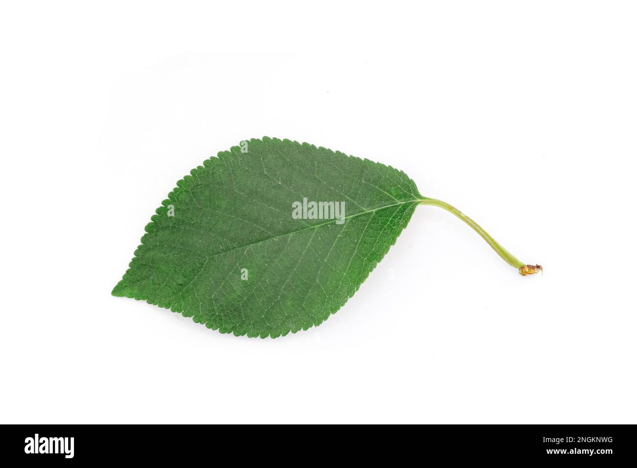 Path photography Cut Out Stock Images & Pictures Alamy