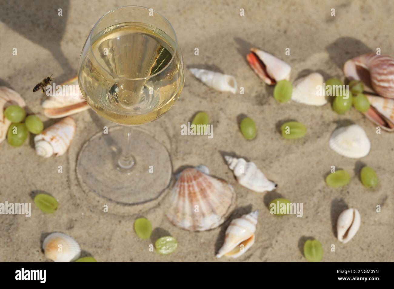 glass of white wine on sand as background with shells Stock Photo - Alamy