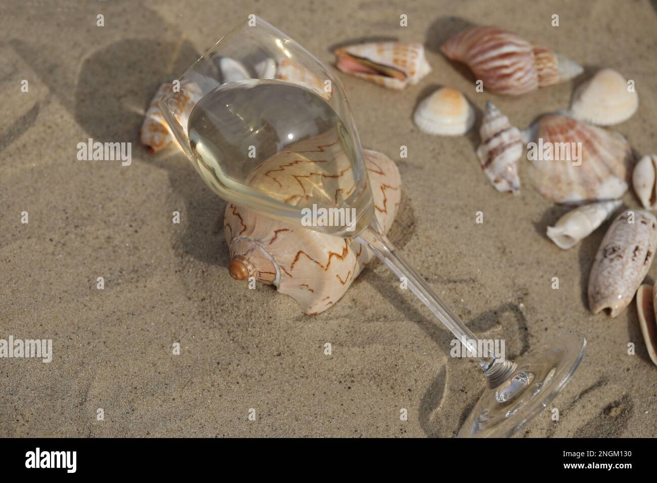 glass of white wine on sand as background with shells Stock Photo - Alamy