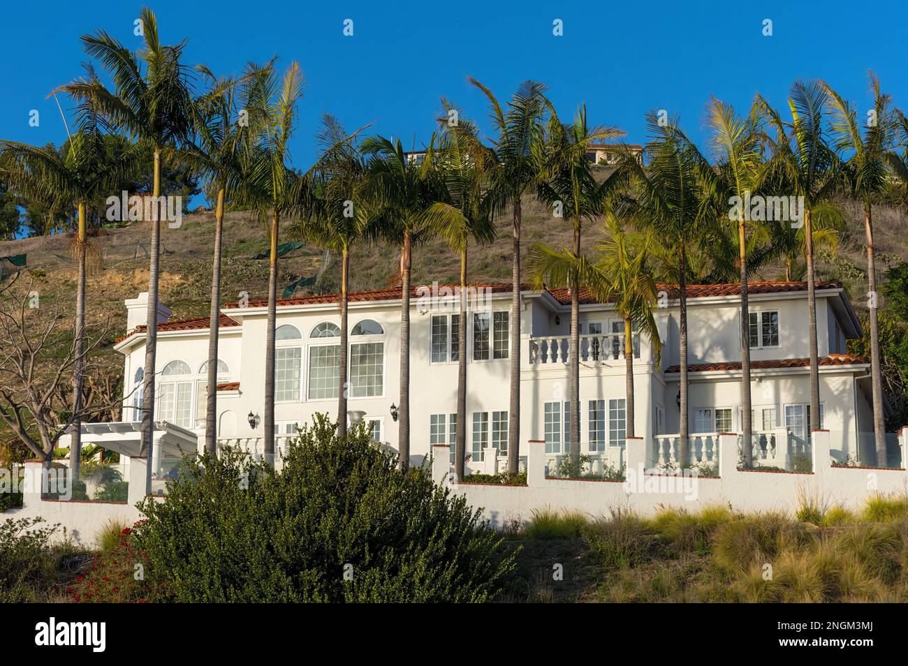 High end house on a hill with a line of palm trees in front of it shown in late afternoon. Stock Photo