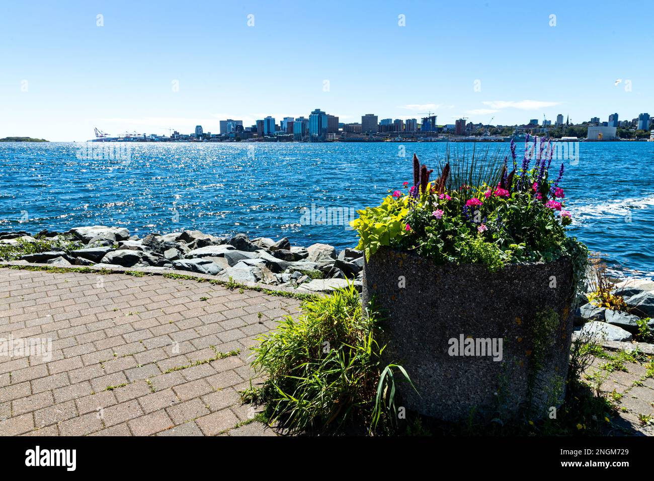 Halifax view from Alderney Gate Ferry Terminal, Dartmouth  - Halifax, Nova Scotia, Canada 1 Stock Photo