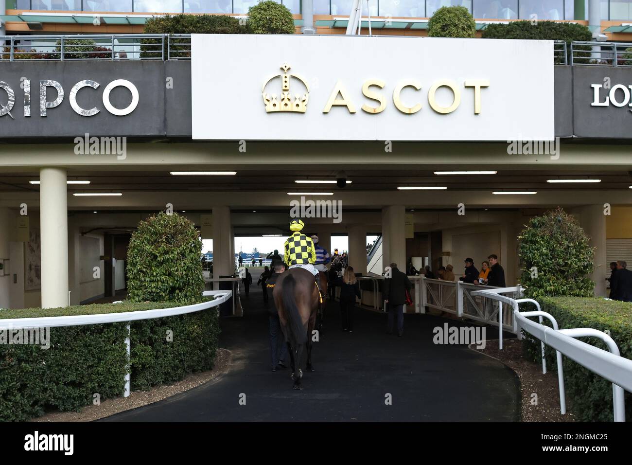 Shishkin ridden by jockey Nico de Boinville ahead of the Betfair Ascot ...