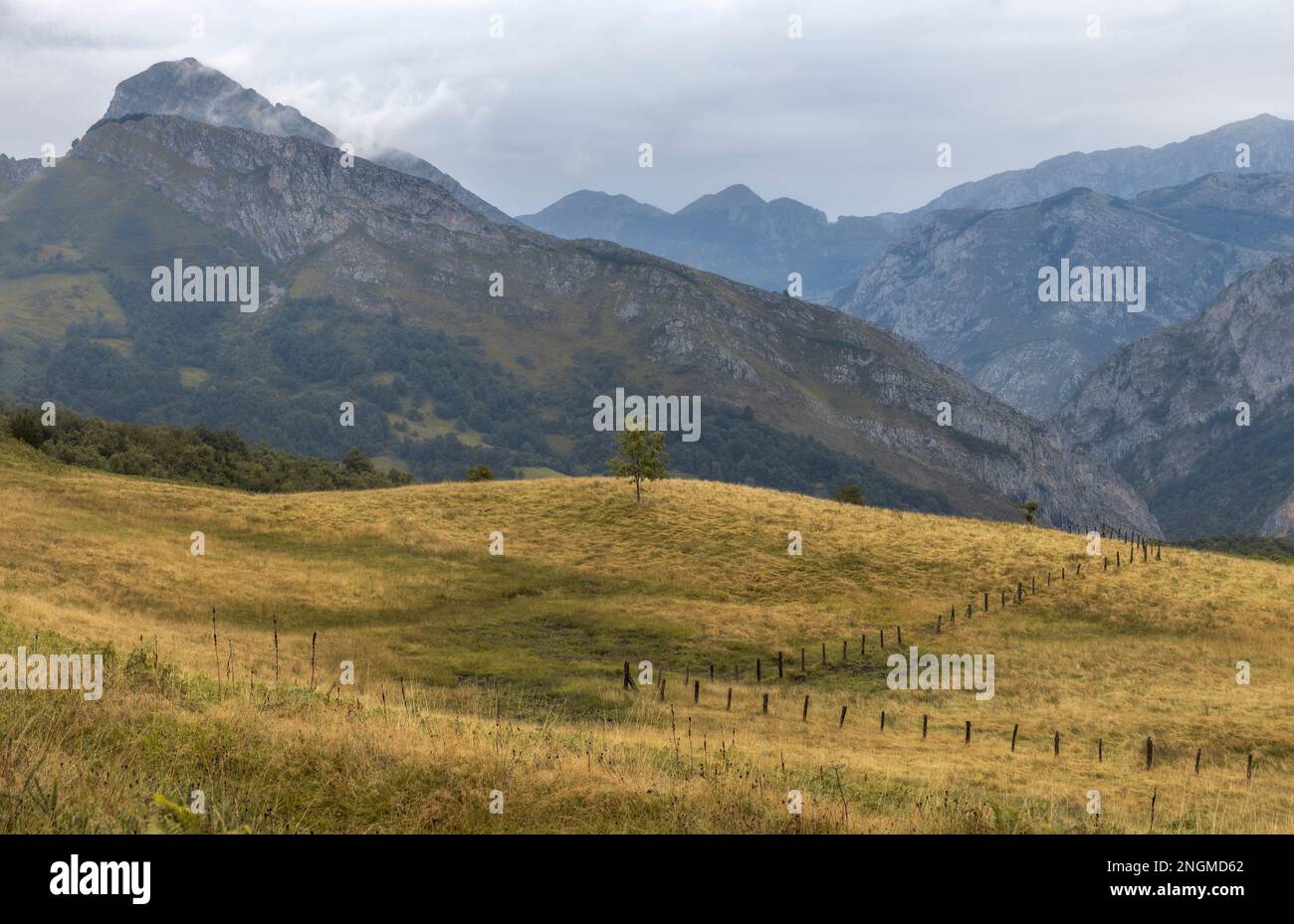 A tranquil scene of natures beauty, with wild grasslands and a majestic mountain range in Asturias, Spain Stock Photo