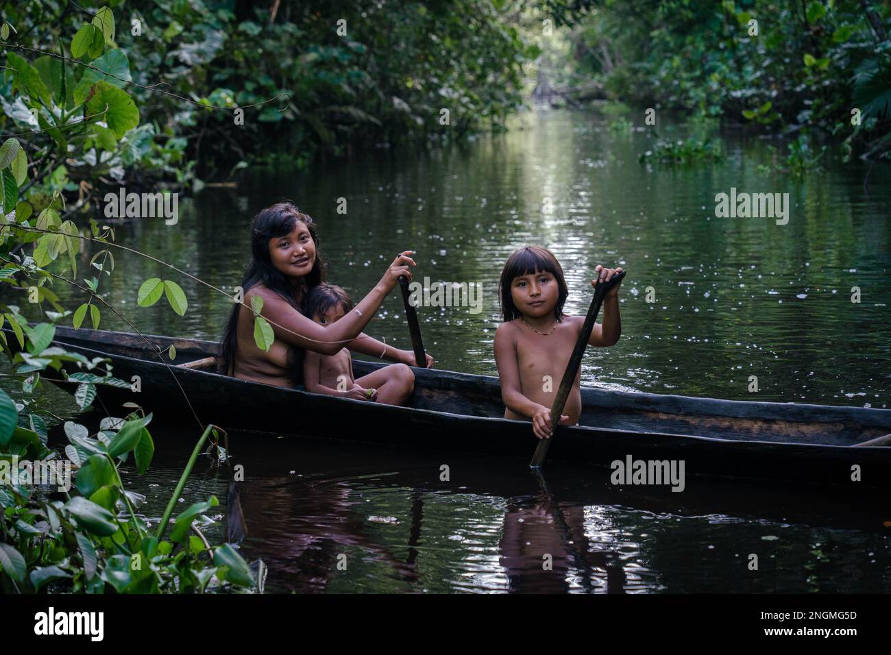 Family of native indigenous Orinoco tribe Warao swimming in traditional wooden canoe among the mangroves Stock Photo