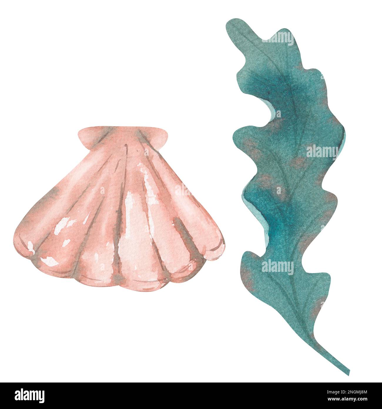 Watercolor set of underwater life objects with seaweed and shells