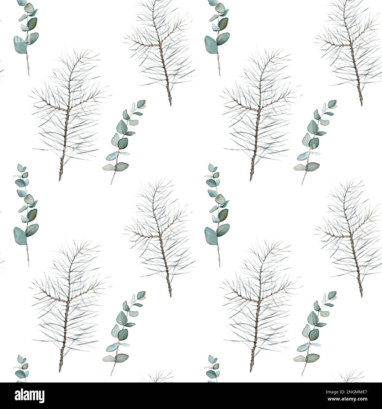 Pattern with pine branch and eucalyptus. Botanical natural forest theme ...