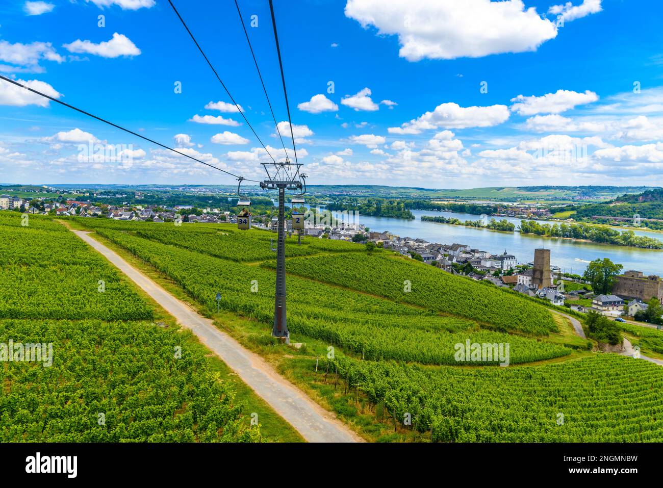 Cableway cablecar above vineyards near Rhein Rhine river in Ruedesheim