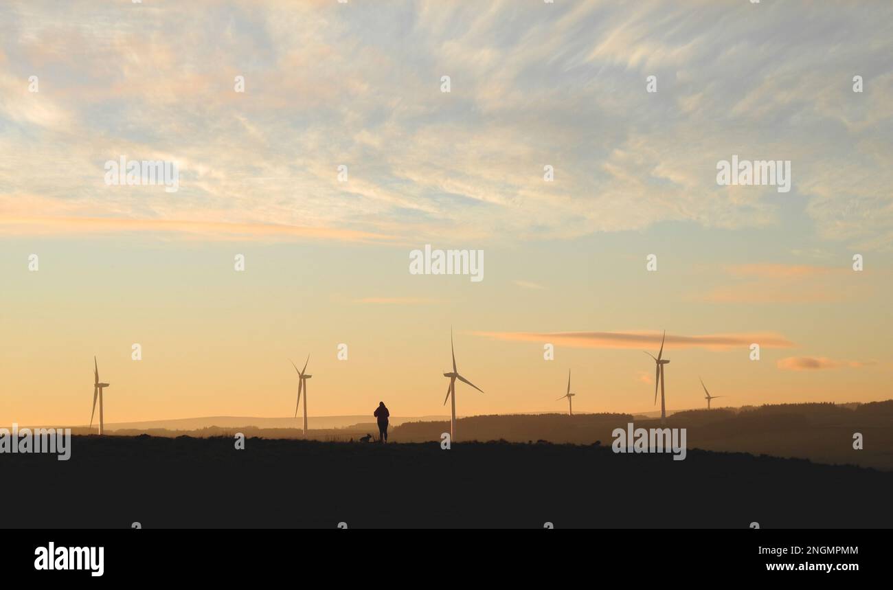 Dog walker in silhouette on the brow of a slope in late winter as the sun goes down with distant wind turbines all caught in a warm glow Stock Photo