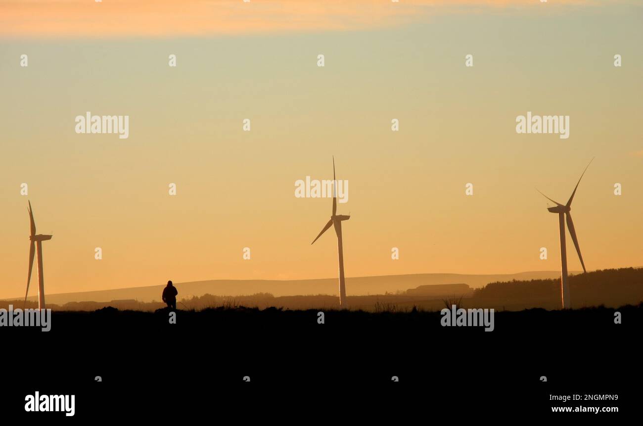 Lone dog walker in silhouette on near horizon with wind turbines in near distance highlighted by low setting winter sun giving a golden glow Stock Photo