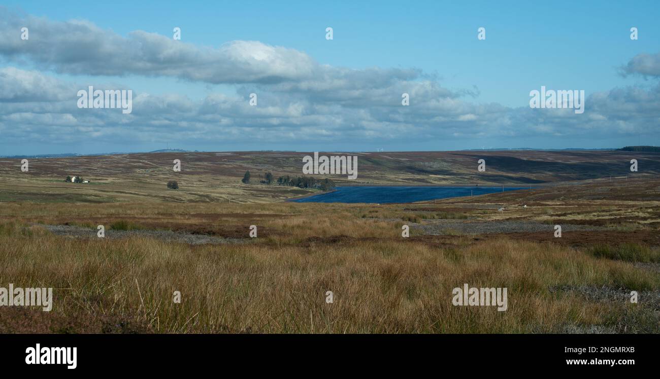 Landscape image looking from the Waskerley Way across moorland above Stanhope in early autumn Stock Photo