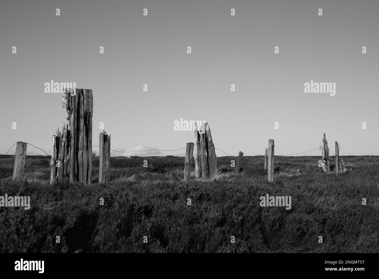 Mono image of decaying timbers of fence along the old railway route of