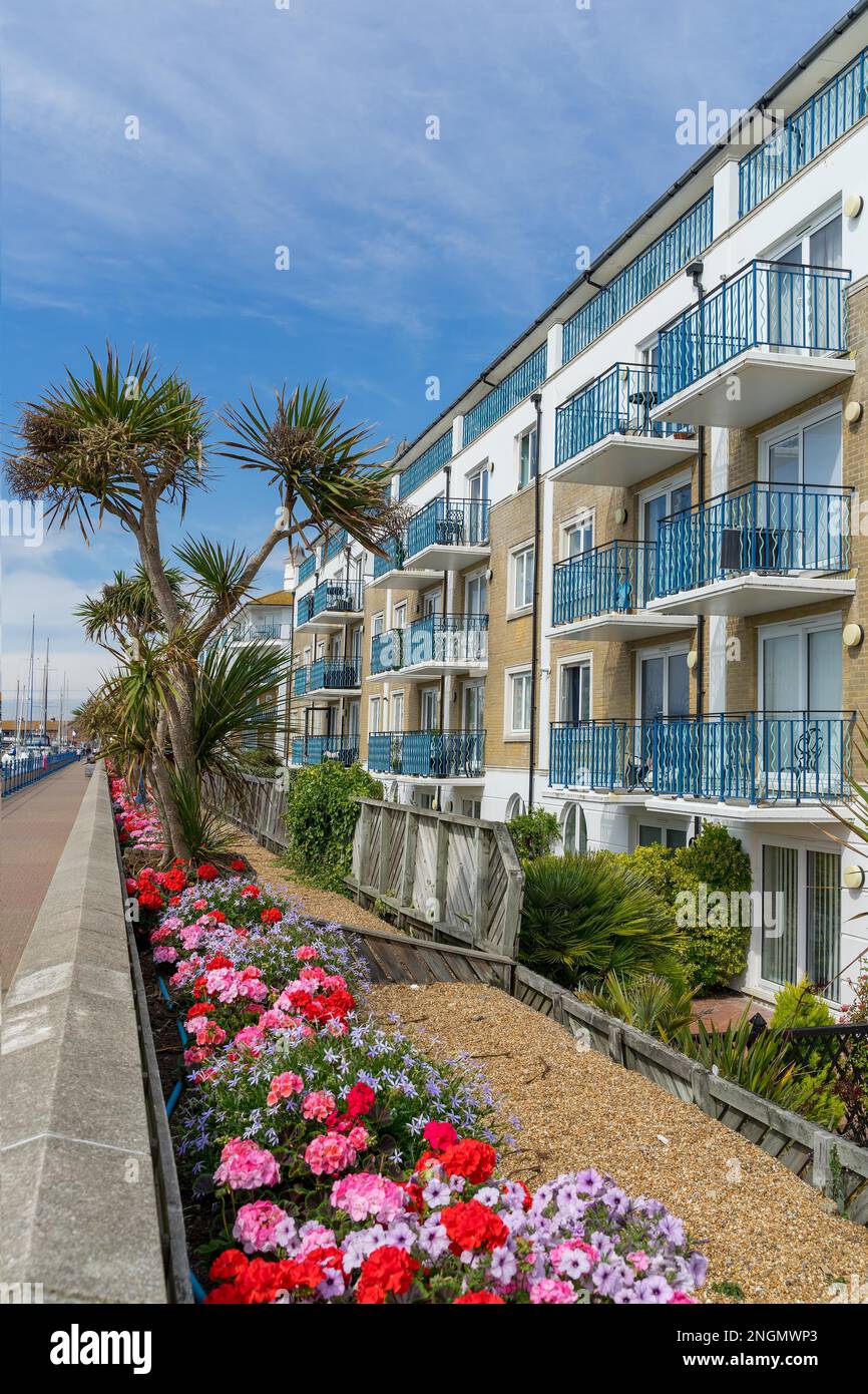 BRIGHTON, SUSSEX/UK AUGUST 31 View of apartments at Brighton Marina