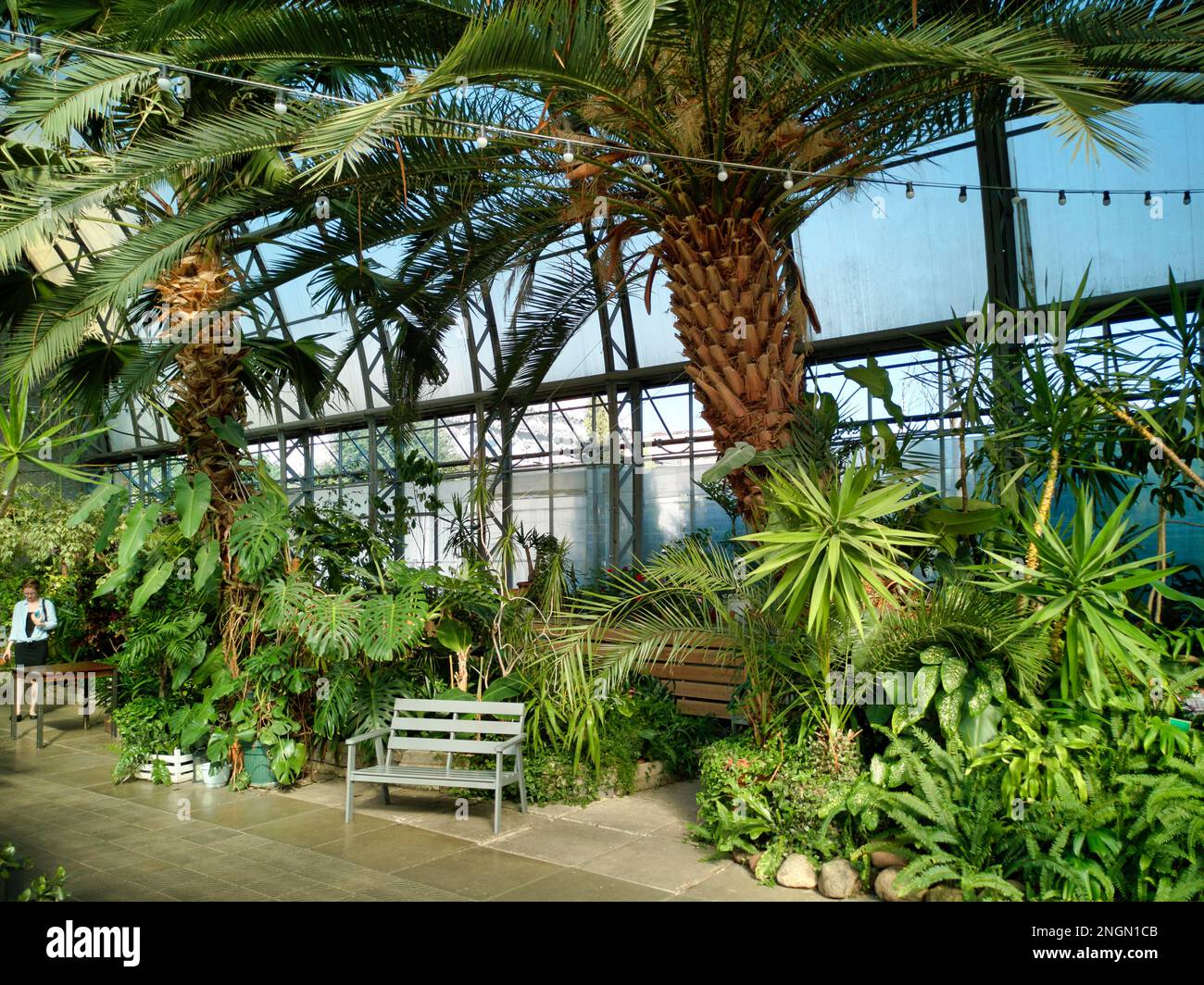 St. Petersburg Russia. The Orangery greenhouse Stock Photo