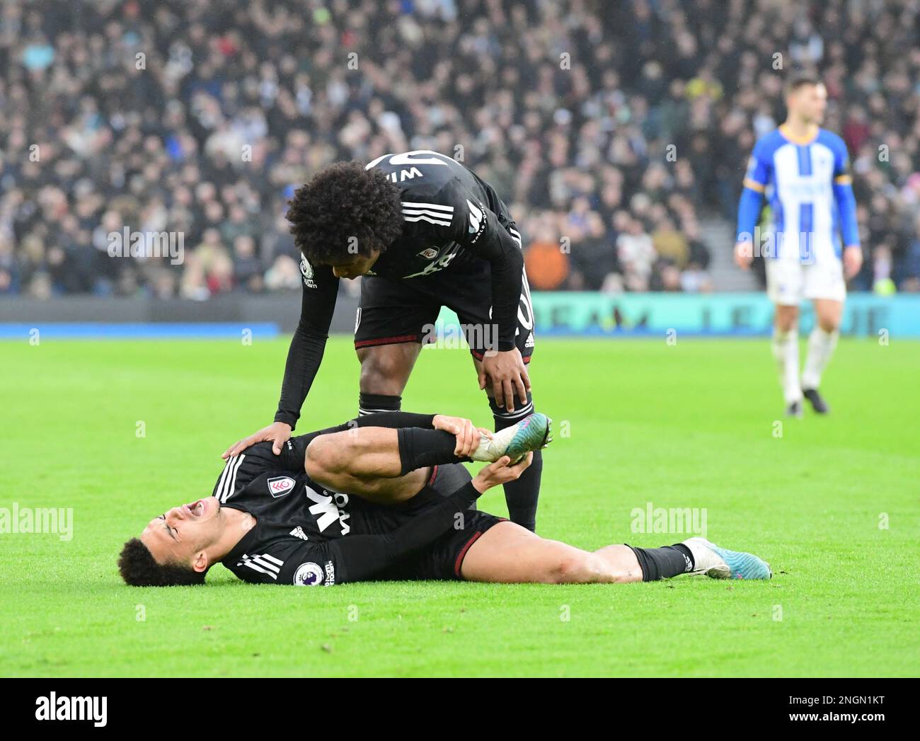 Brighton, UK. 18th Feb, 2023. Willian Borges Da Silva of Fulham FC checks on Antonee Robinson of Fulham FC after he was fouled by Solly March of Brighton and Hove Albion during the Premier League match between Brighton & Hove Albion and Fulham at The Amex on February 18th 2023 in Brighton, England. (Photo by Jeff Mood/phcimages.com) Credit: PHC Images/Alamy Live News Stock Photo