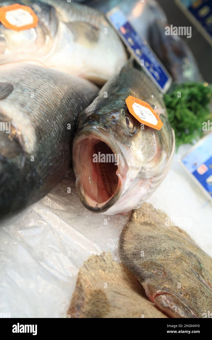 Display of sea bass in the fish market at Halle Aux Poissons, Place de