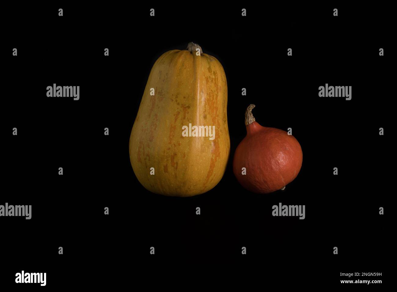 colorful pumpkin on a black background. In studio Stock Photo - Alamy