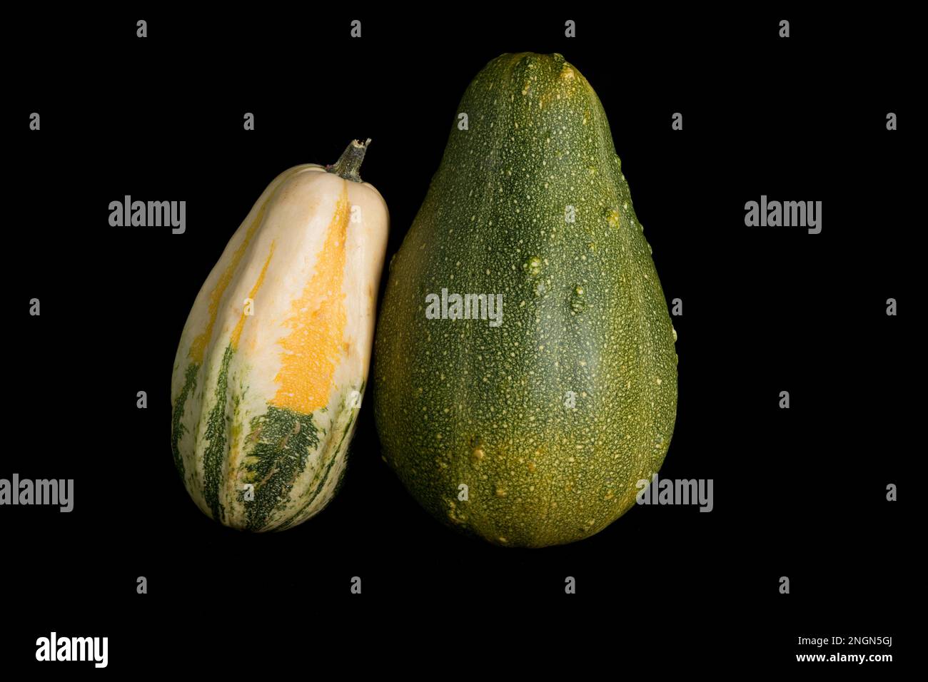colorful pumpkin on a black background. In studio Stock Photo - Alamy