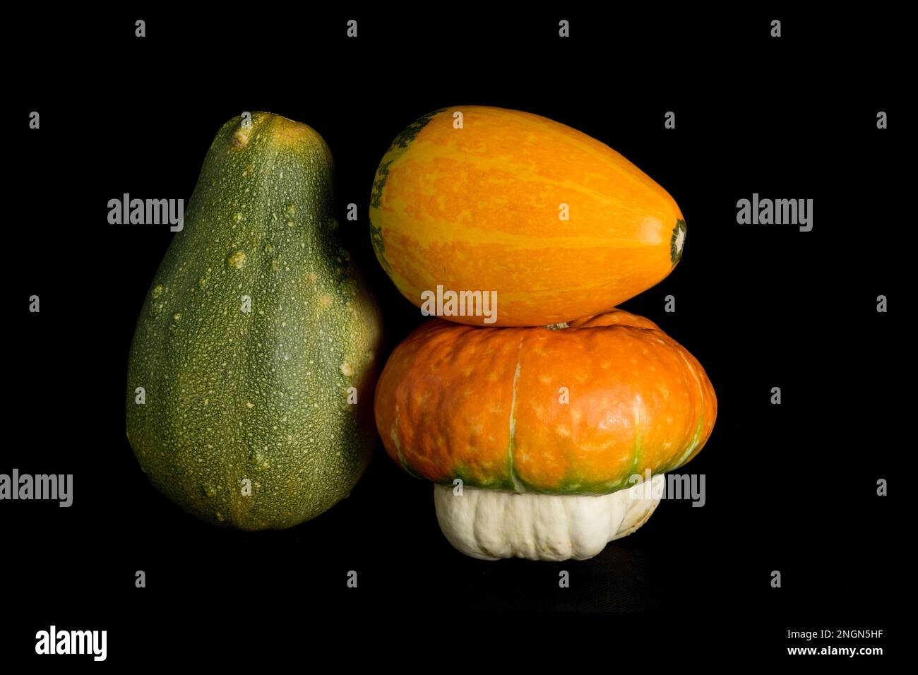 colorful pumpkin on a black background. In studio Stock Photo - Alamy