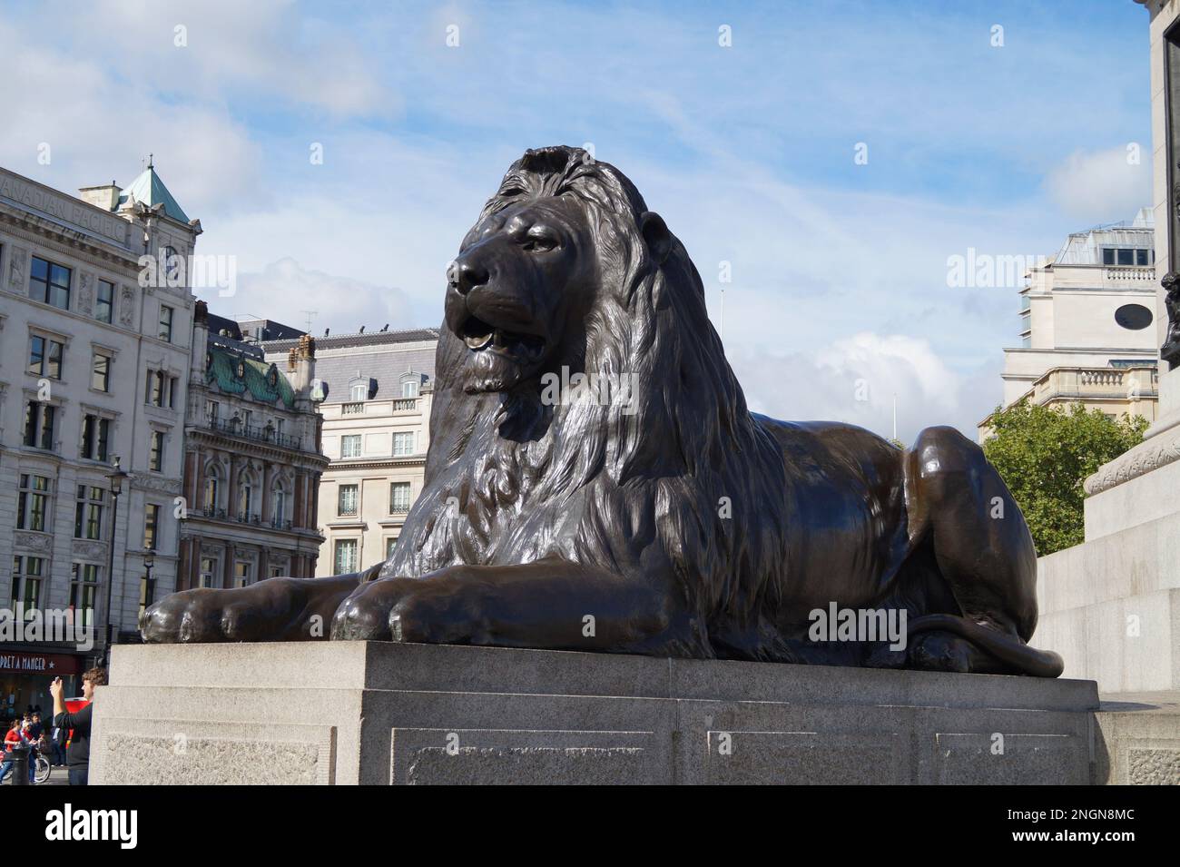 one of the four majestic lion statues at Trafalgar Square in London
