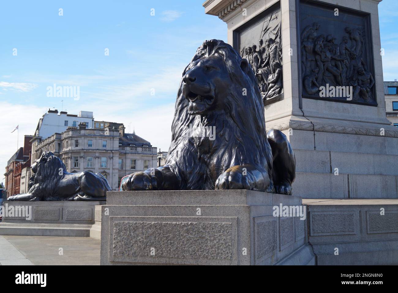 one of the four majestic lion statues at Trafalgar Square in London