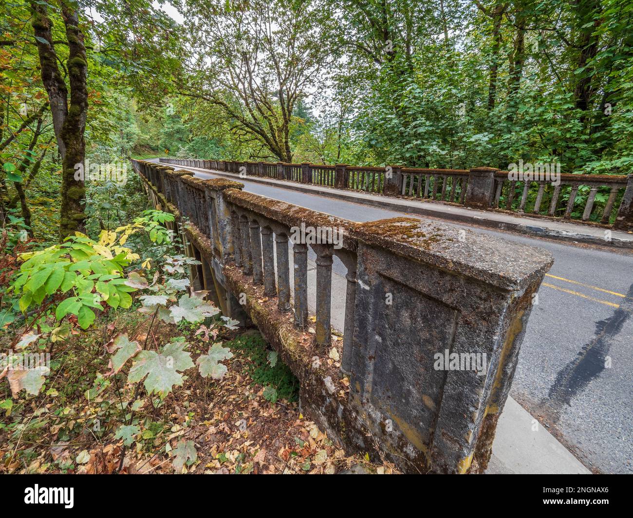 Bridge railings near Latourrll Falls, Columbia River Gorge National ...