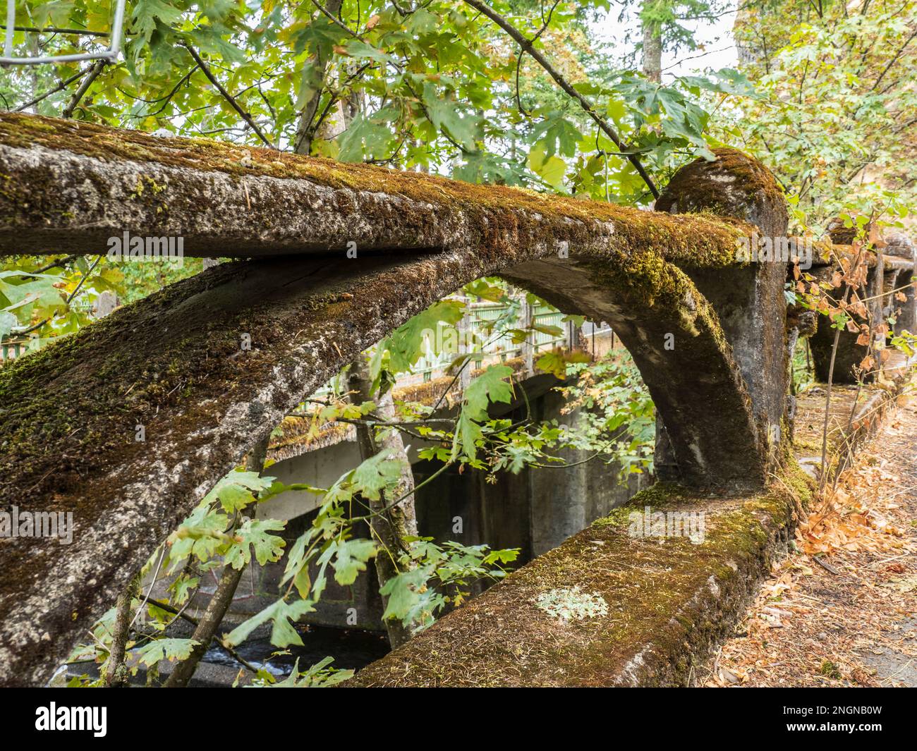 Old railings near Oneonta Tunnel, Columbia River Gorge National Scenic ...