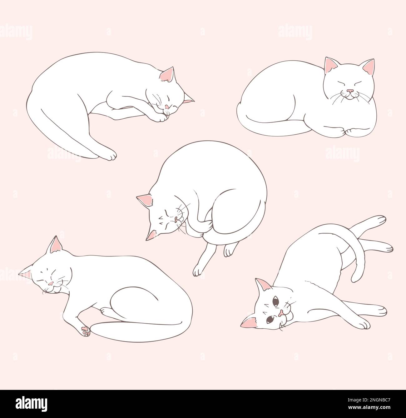 Cute white cat lies in different positions. Set of cat positions. Cat posing. Cats. Sketch. Vector art. Stock Vector