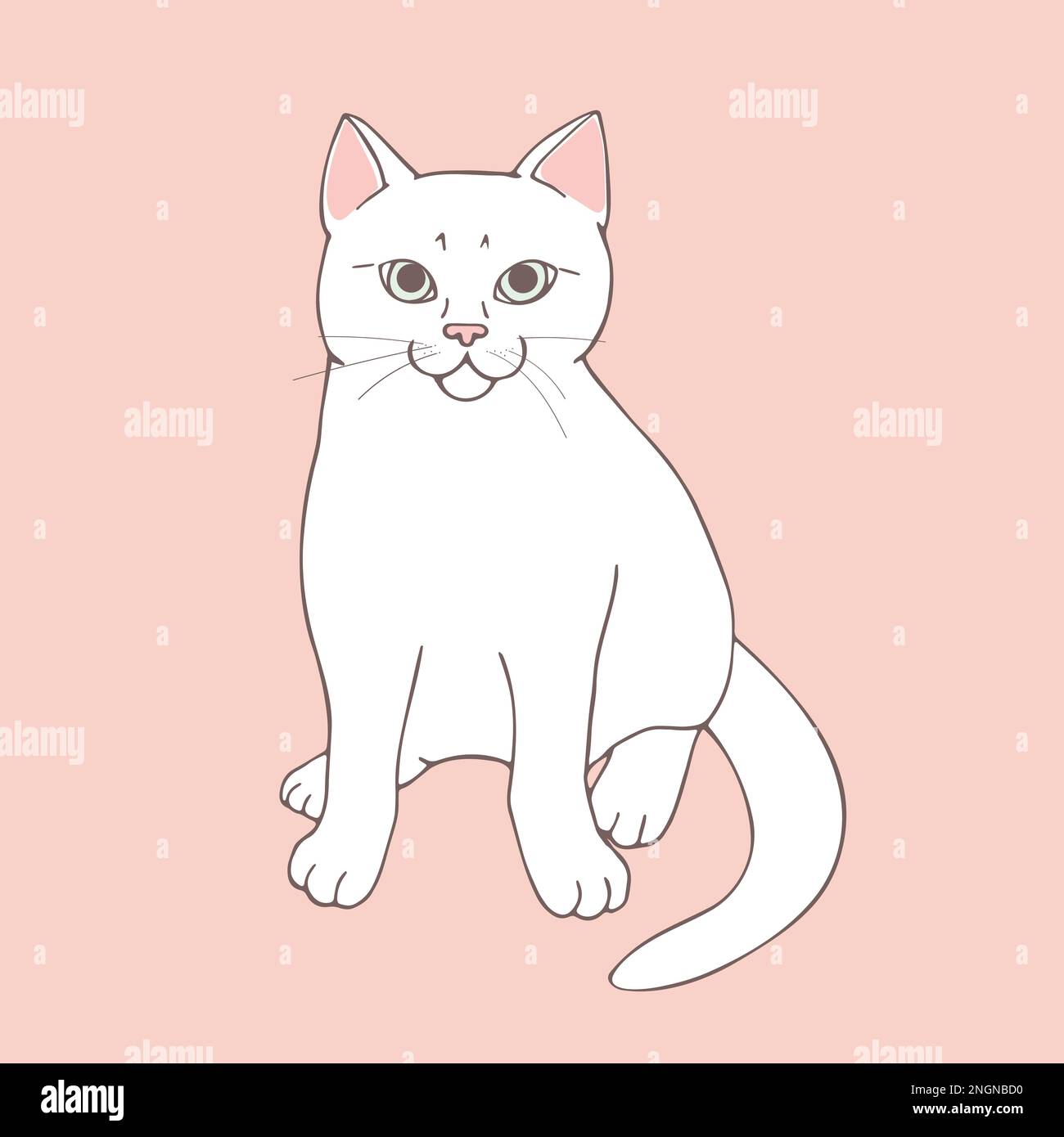 How to Draw a Cat | Easy Drawing Tutorial | Design Bundles