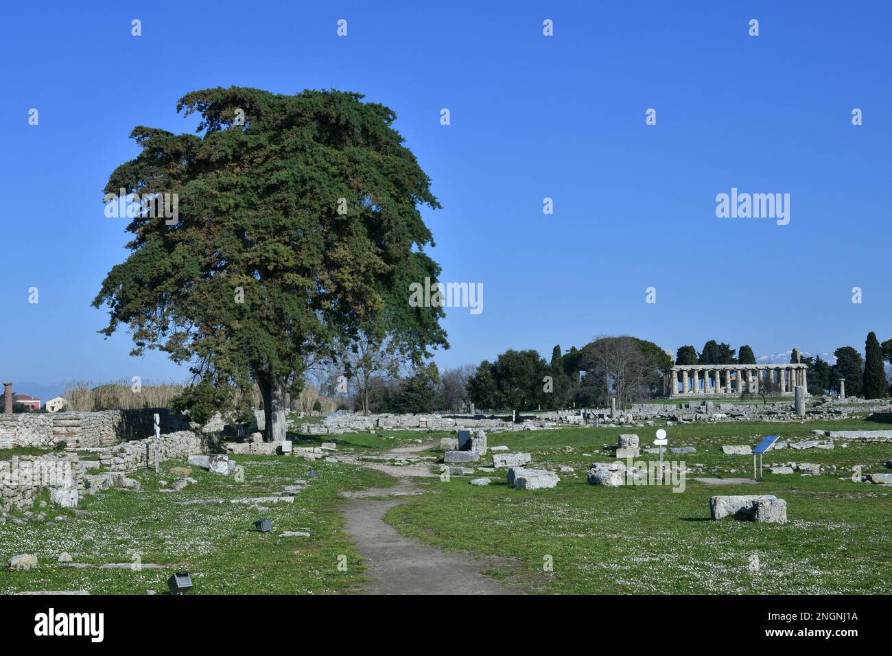 Architecture of an ancient Greek temple in the archaeological park in Salerno province, Campania state, Italy. Stock Photo