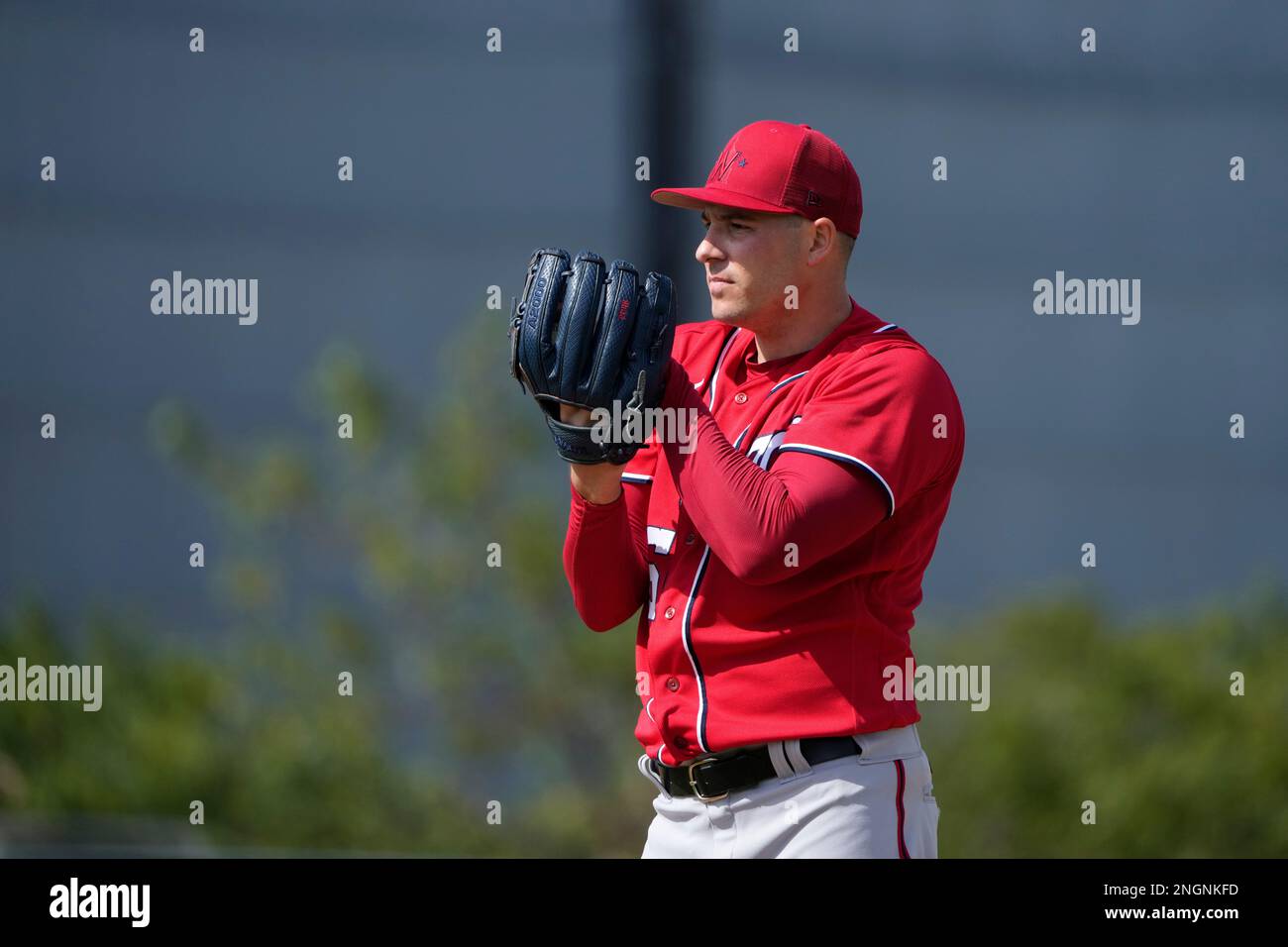 Patrick Infla Washington Nationals pitcher Patrick Corbin throws live batting ...