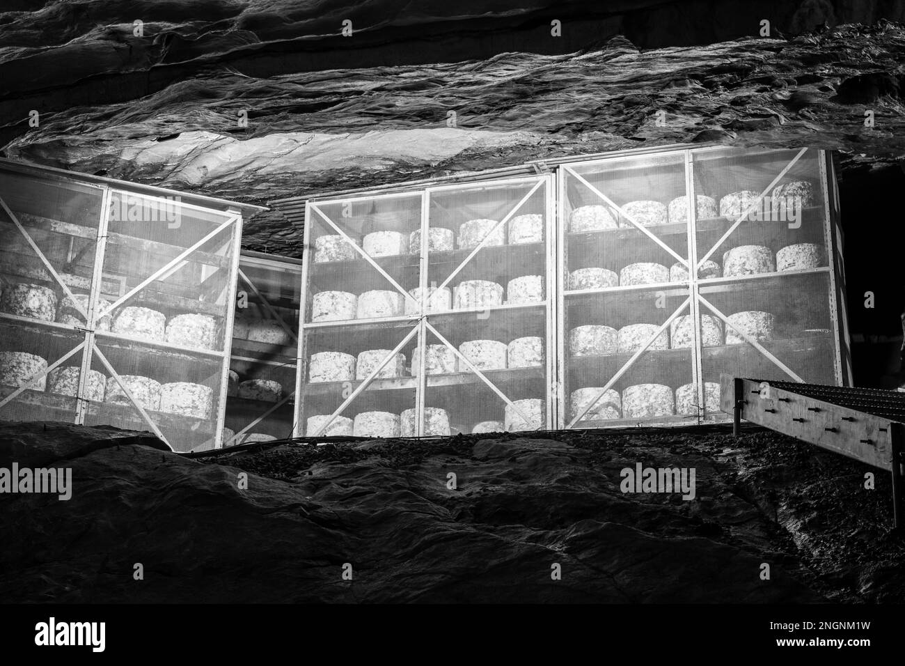 Cheddar cheese maturing in Goughs Cave in Cheddar in Somerset Stock