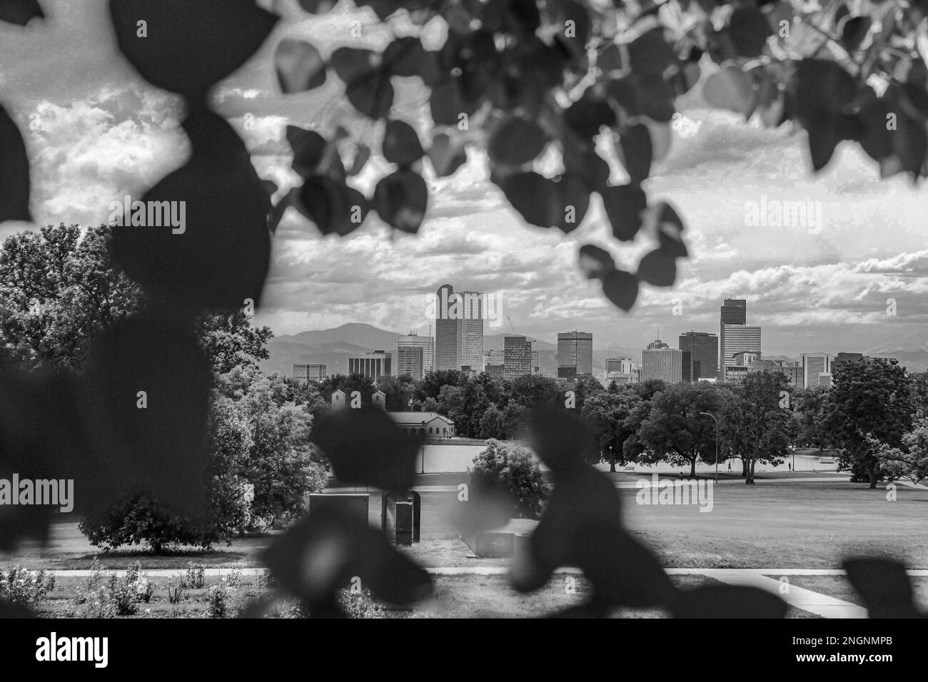 Urban nature park Black and White Stock Photos & Images - Alamy