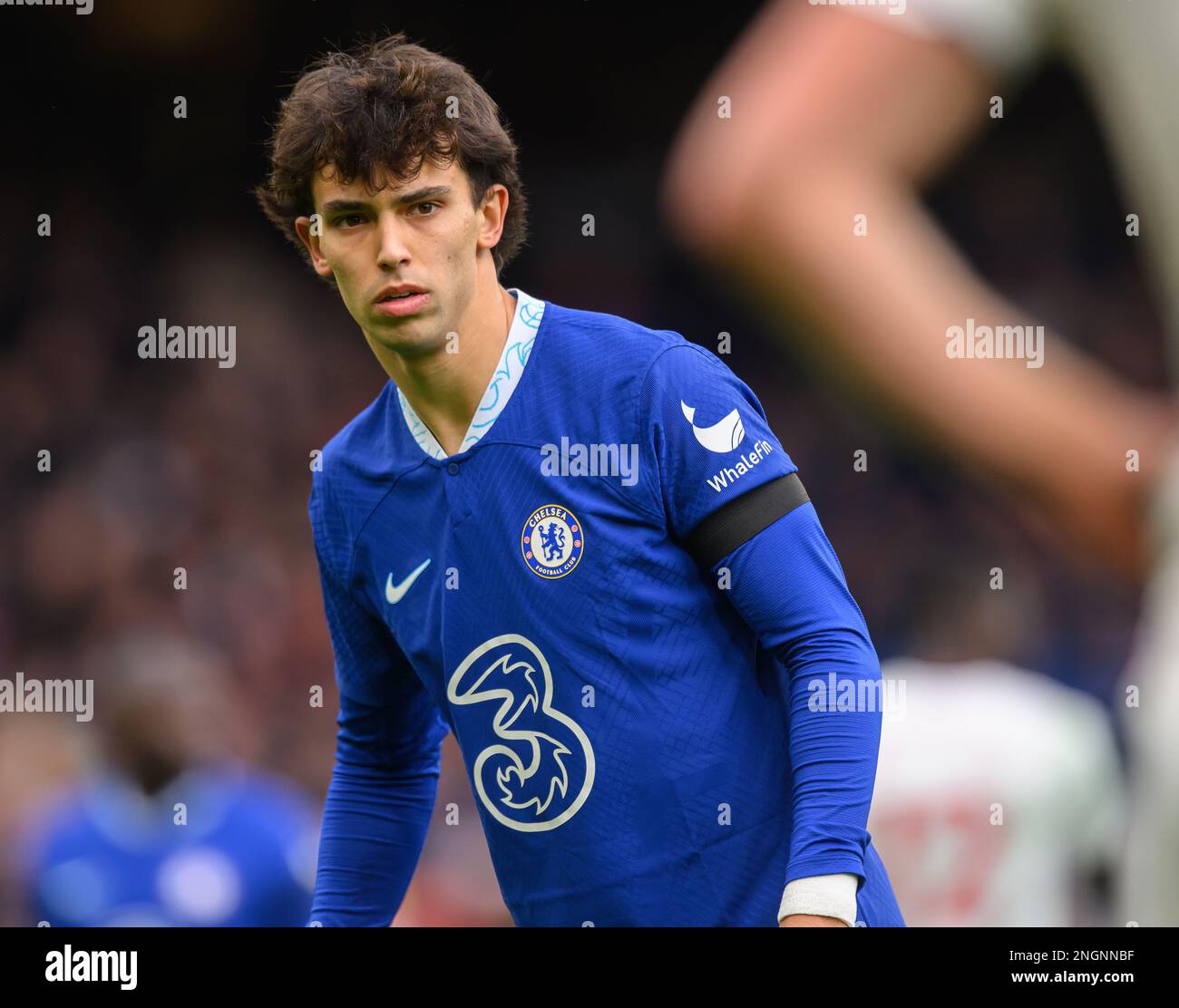 London, UK. 18th Feb, 2023. 18 Feb 2023 - Chelsea v Southampton London, UK. 18th Feb, 2023. 18 Feb 2023 - Chelsea v Southampton