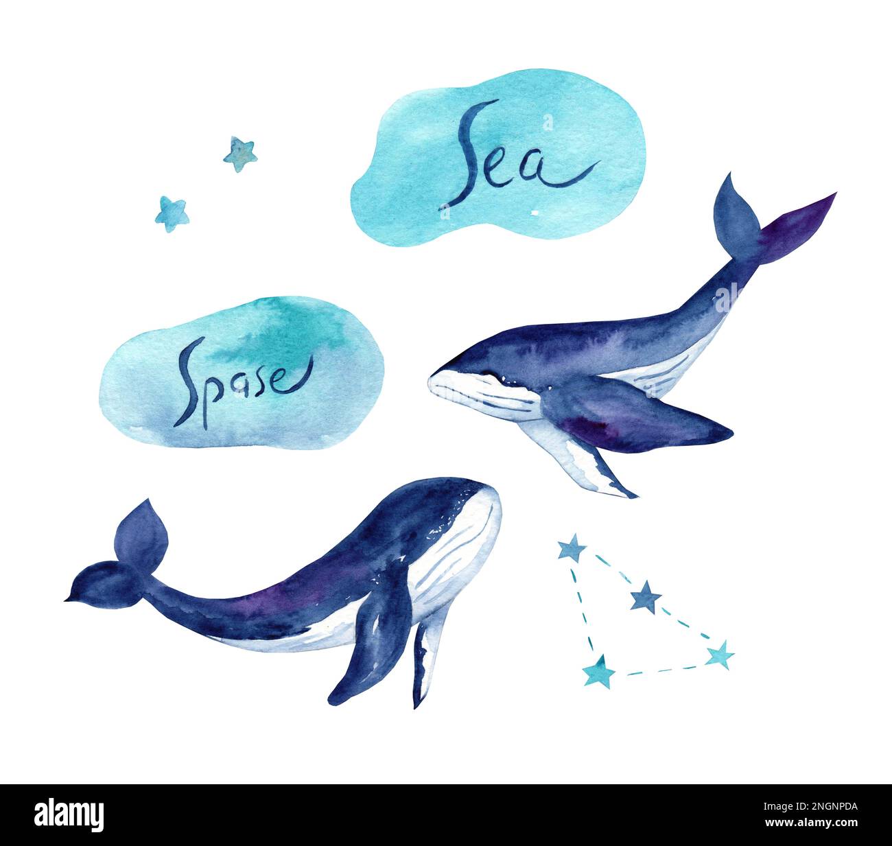 Childrens dreamy watercolor illustrations. Whales with stars and constellations of delicate colors. Baby animals. Children's art. World whale day. Oce Stock Photo