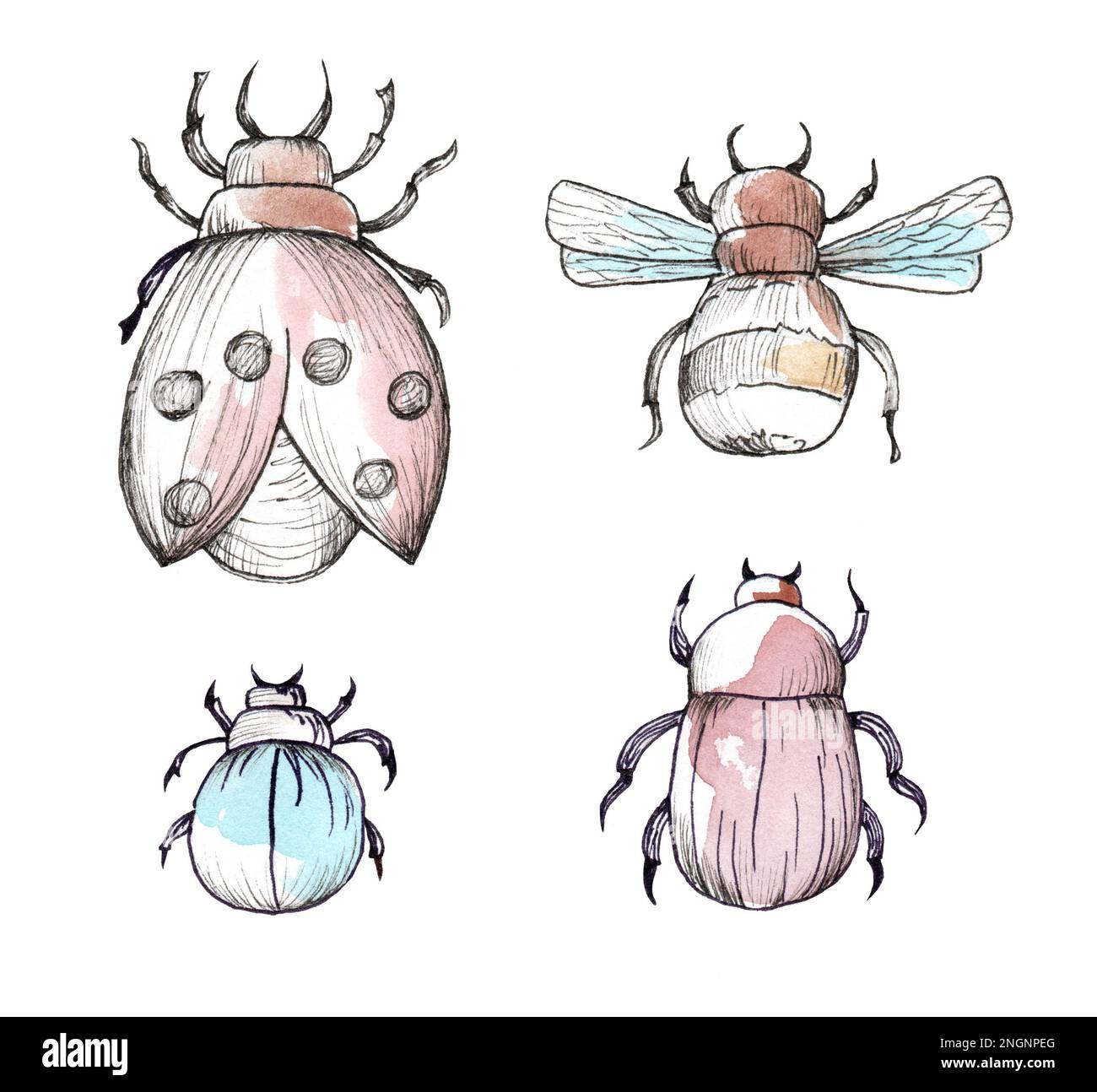 Set of hand drawn beetles and moths. Watercolor illustration. Stock Photo